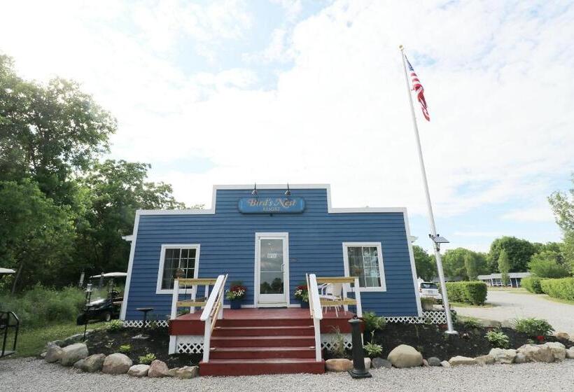 Bed and Breakfast Bird's Nest Resort