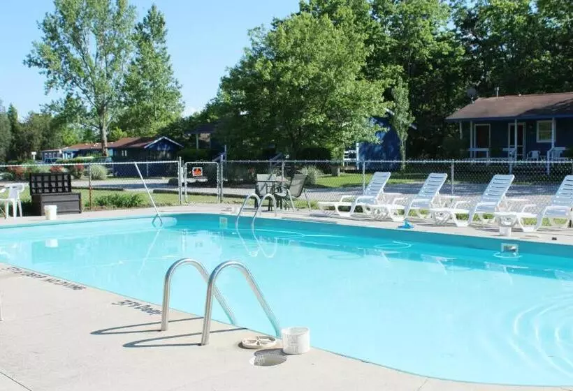 Aamiaismajoitus (B&B) Bird's Nest Resort