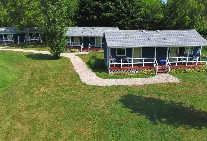 Bed and Breakfast Bird's Nest Resort