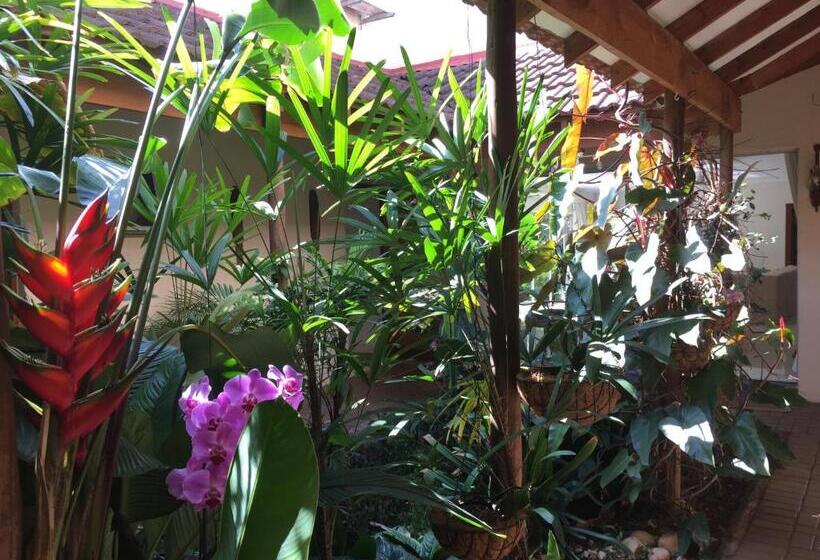 צימר Tropical Paradise