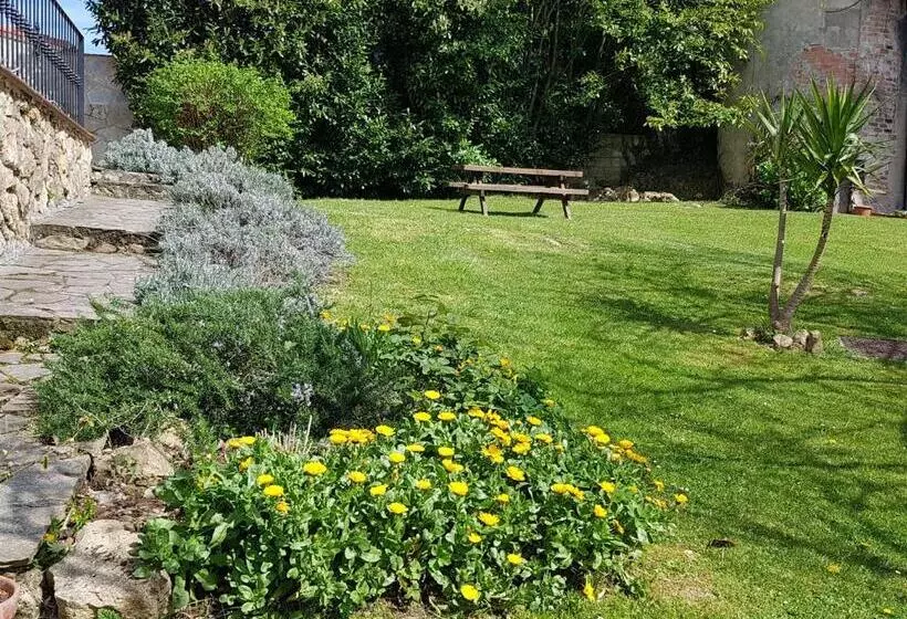 ホテル El Pedroso