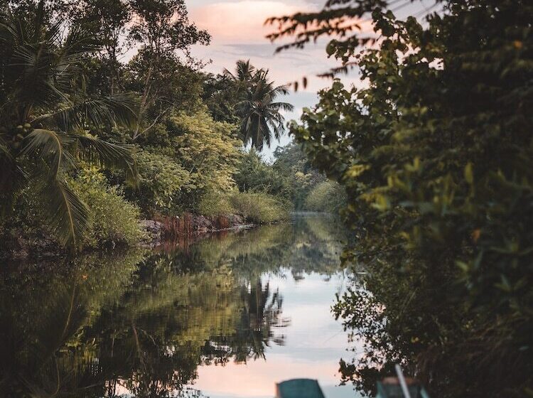 호텔 Kaju Green Eco Lodges