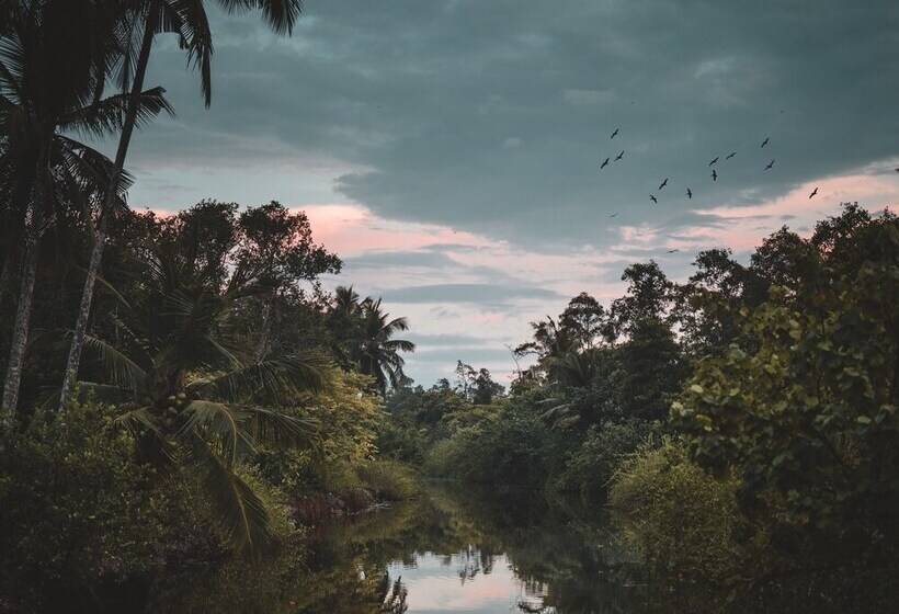 호텔 Kaju Green Eco Lodges