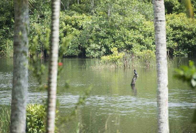 호텔 Kaju Green Eco Lodges