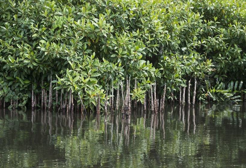 호텔 Kaju Green Eco Lodges