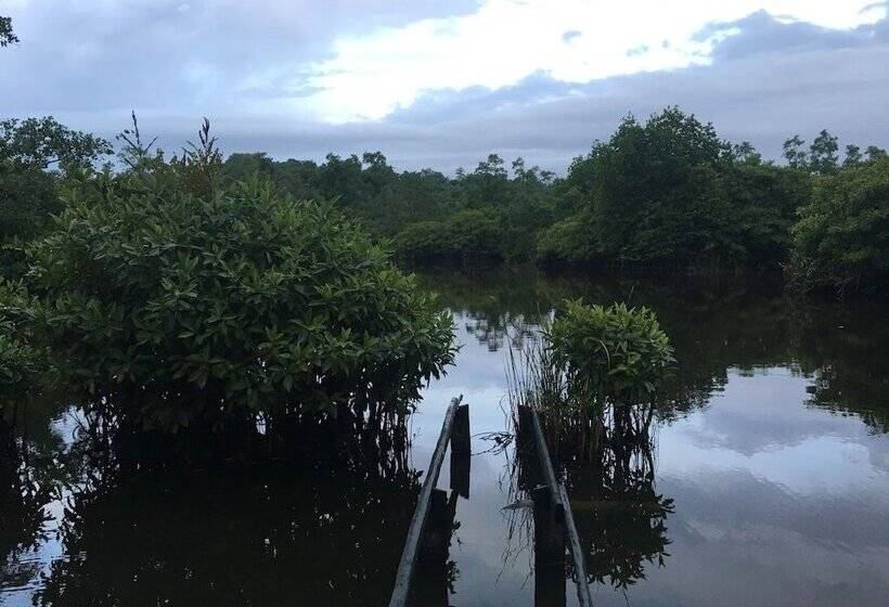 호텔 Kaju Green Eco Lodges