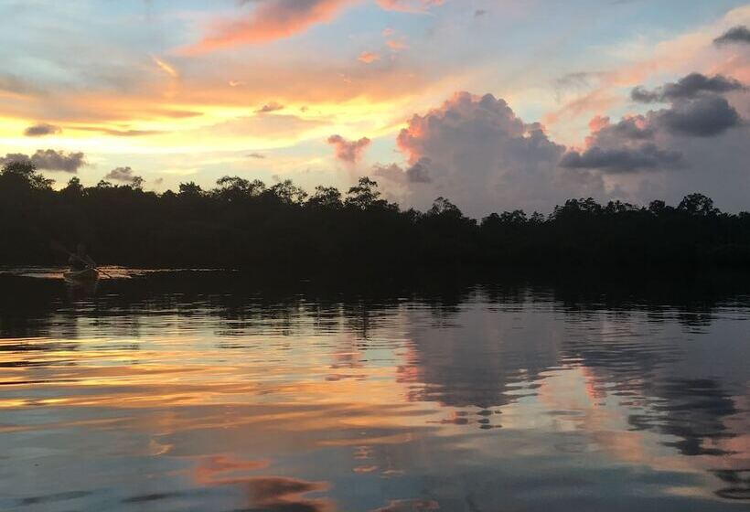 호텔 Kaju Green Eco Lodges