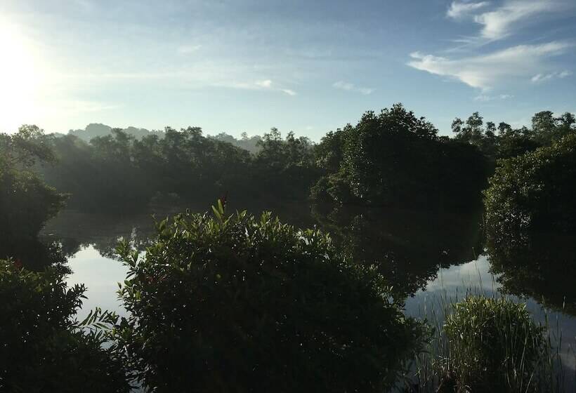 호텔 Kaju Green Eco Lodges