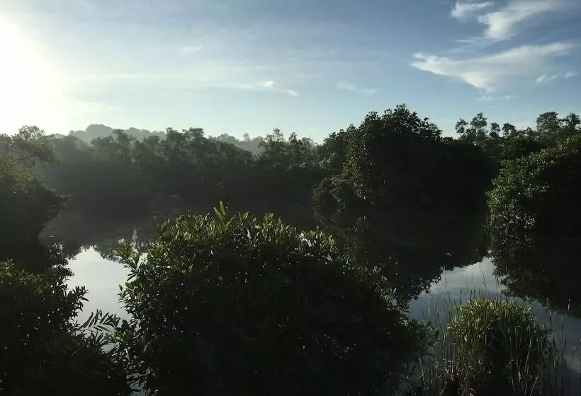 Hotelli Kaju Green Eco Lodges