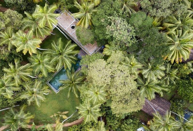 호텔 Kaju Green Eco Lodges