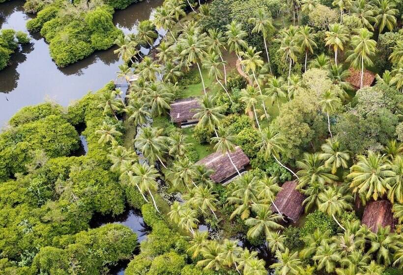 호텔 Kaju Green Eco Lodges