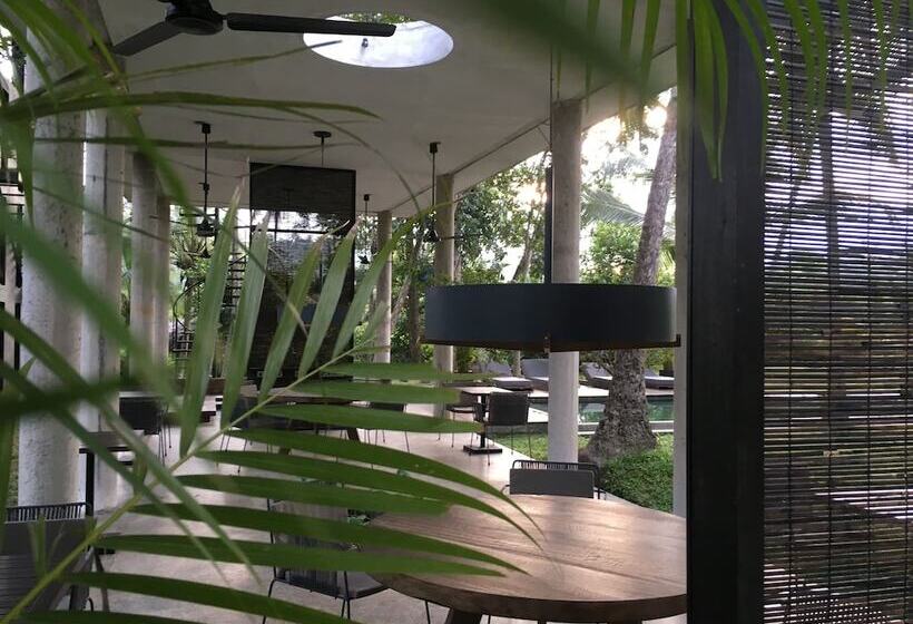 호텔 Kaju Green Eco Lodges