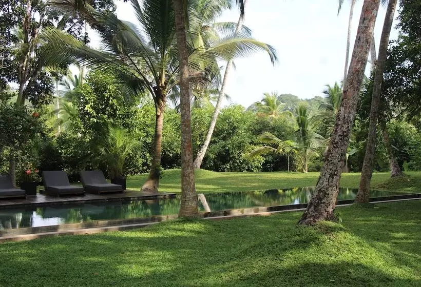 Hotelli Kaju Green Eco Lodges