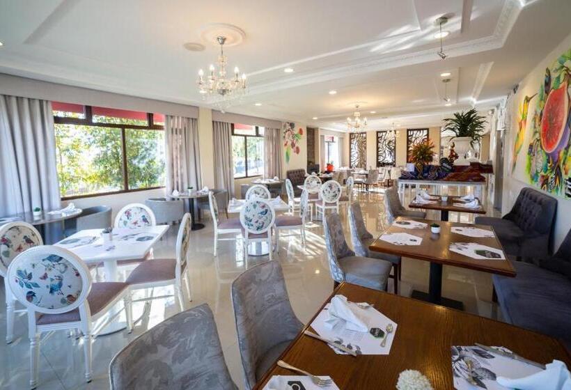 Quindeloma Art Hotel And Gallery