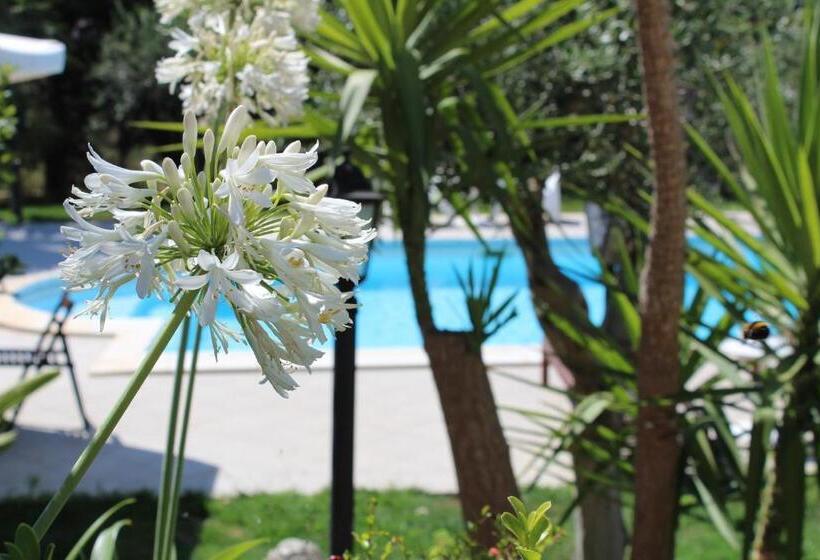 צימר Villa Orchidea