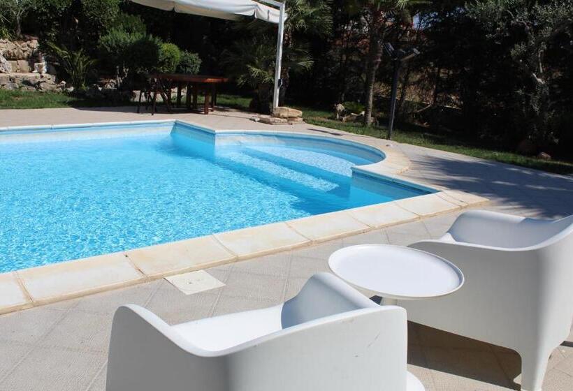 צימר Villa Orchidea