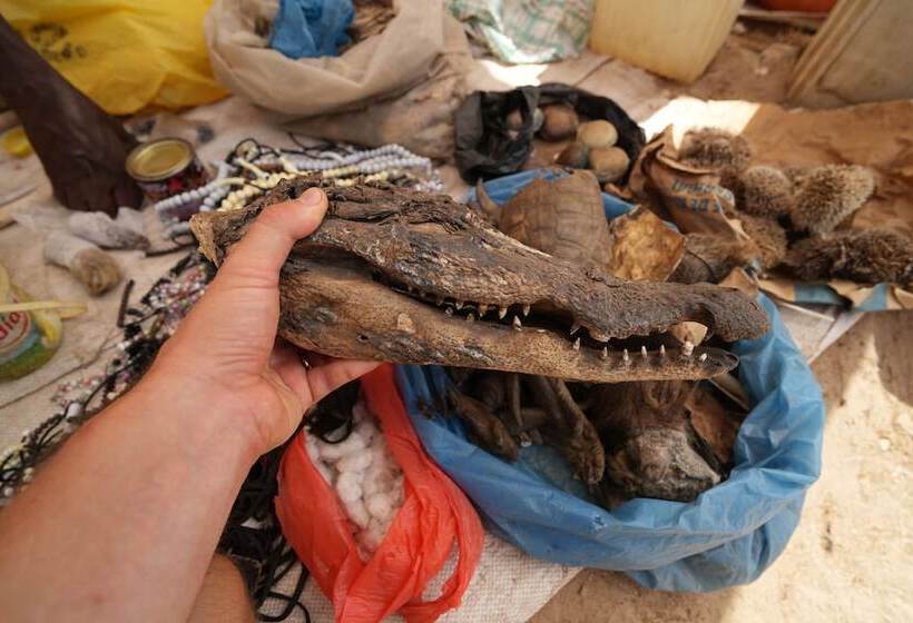 تختخواب و صبحانه La Teranga Toubacouta