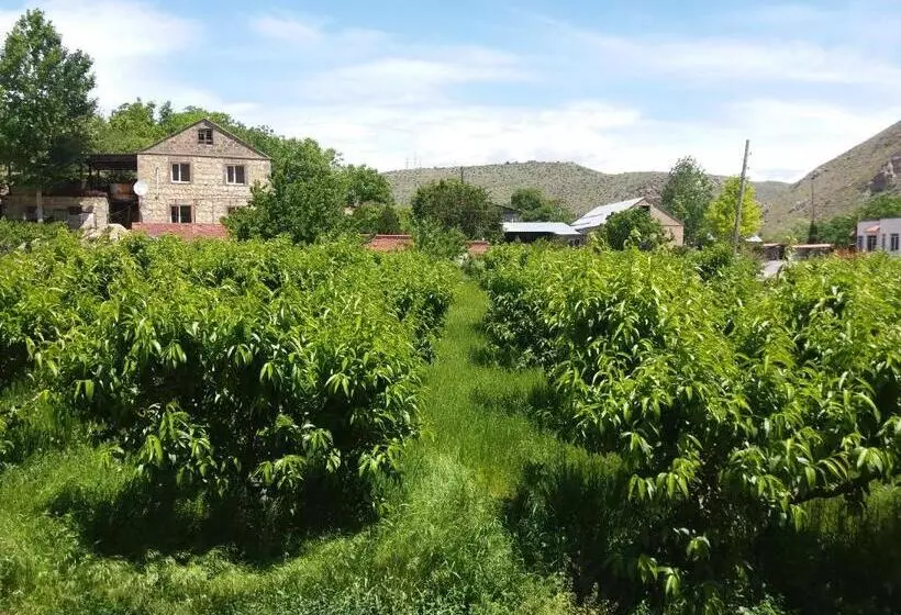 Areni Tavern B&b