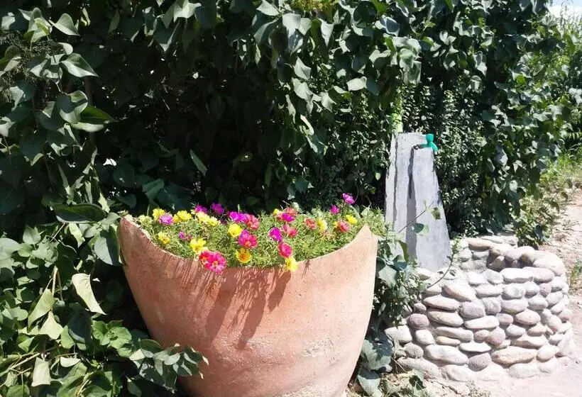 Areni Tavern B&b