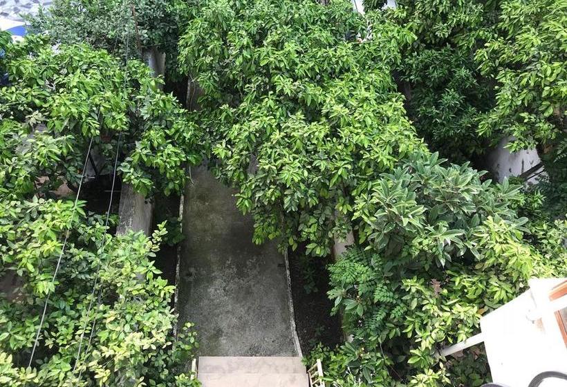 Bed and Breakfast Nina Guest House