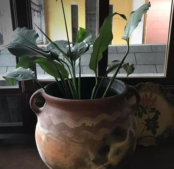 هتل Boutique Casa José