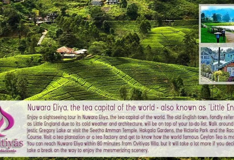 ホテル Ovitiyas Bandarawela