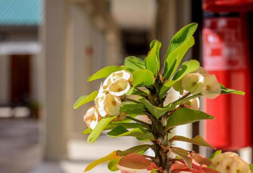 هتل River View Villa Self Catering