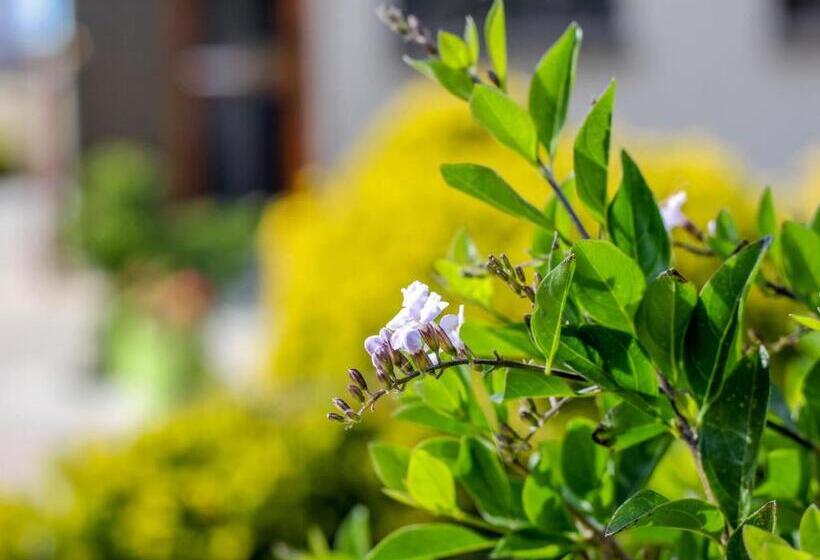 هتل River View Villa Self Catering