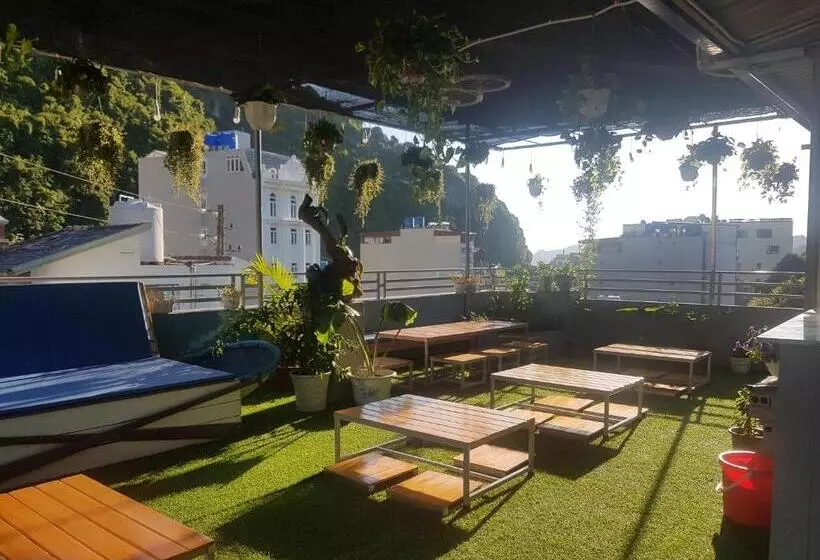 Luna S House Hostel