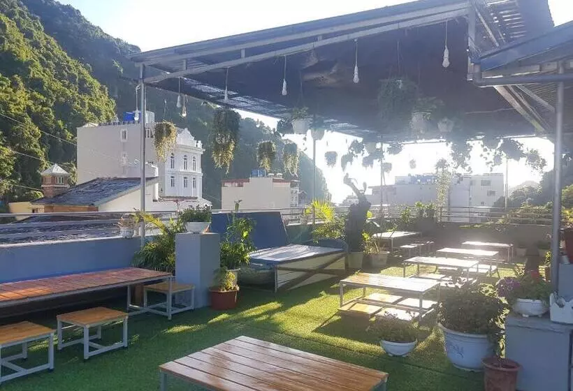 Luna S House Hostel