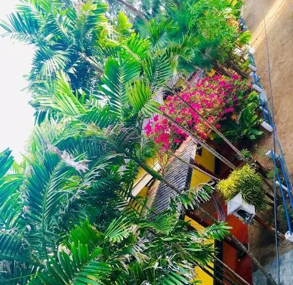 Shashini Beach Resort