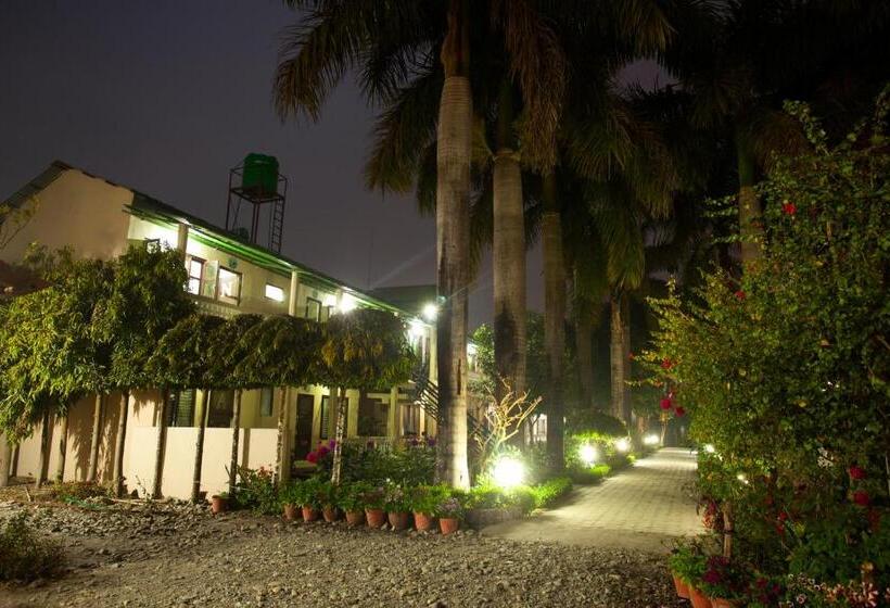 Sauraha Resort