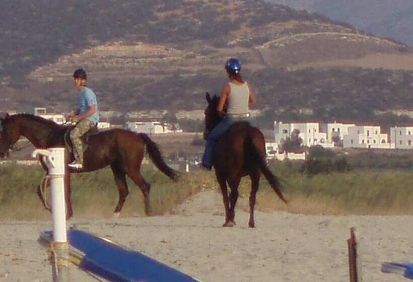 Diamantis Studios & Apartments