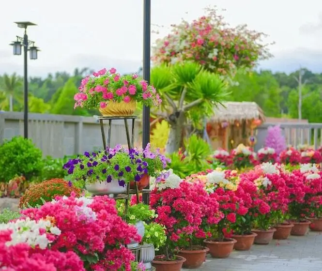 هتل Greenlife Village Phú Quốc