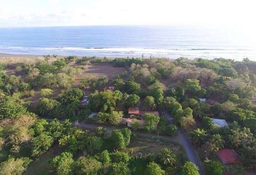 Bed and Breakfast Mi Vida Lodge