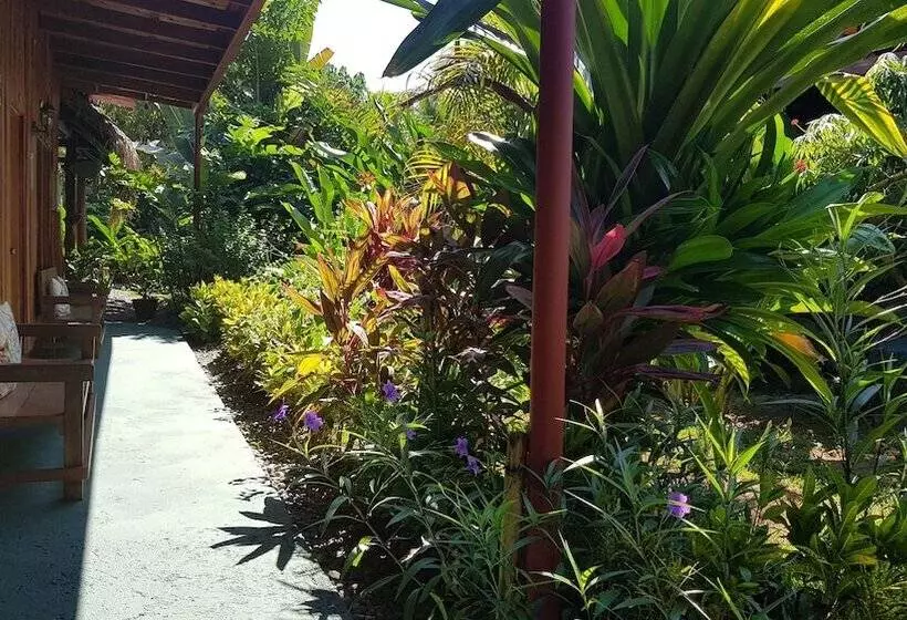 Aamiaismajoitus (B&B) Mi Vida Lodge