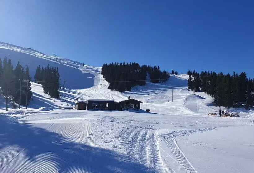 ホテル Rondane Fjellstue