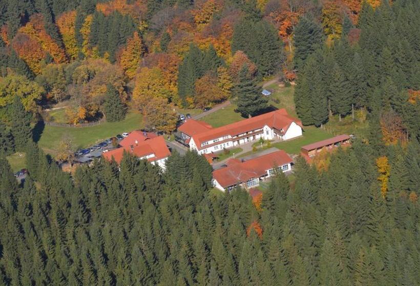 Отель Tanzbuche