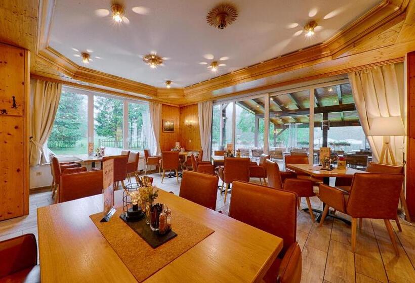 Отель Tanzbuche