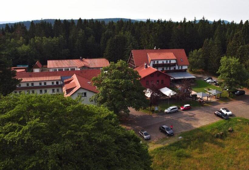 Отель Tanzbuche