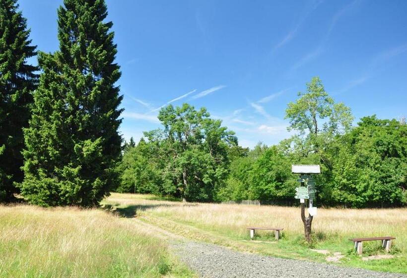 Отель Tanzbuche