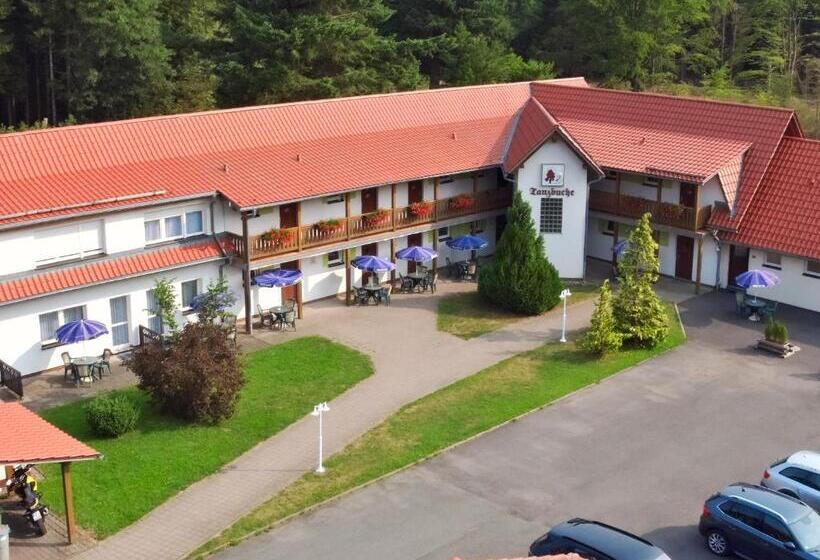 Отель Tanzbuche