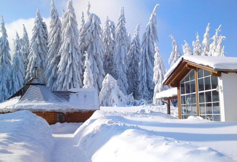 Отель Tanzbuche