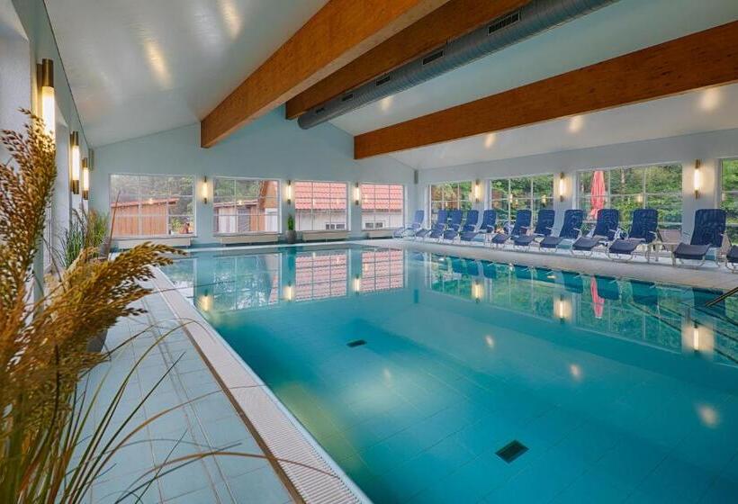 Отель Tanzbuche