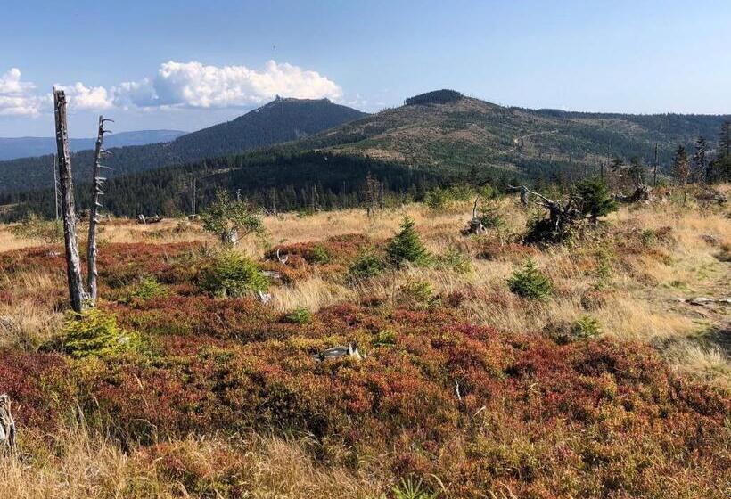 Wellnesshotel Riedlberg