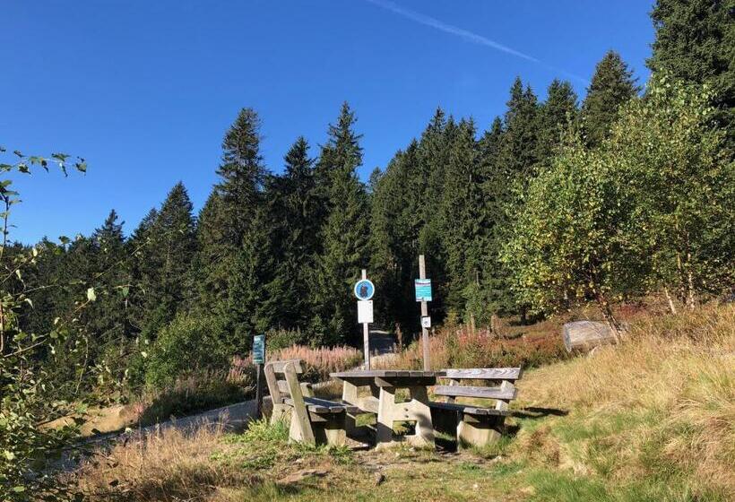 Wellnesshotel Riedlberg