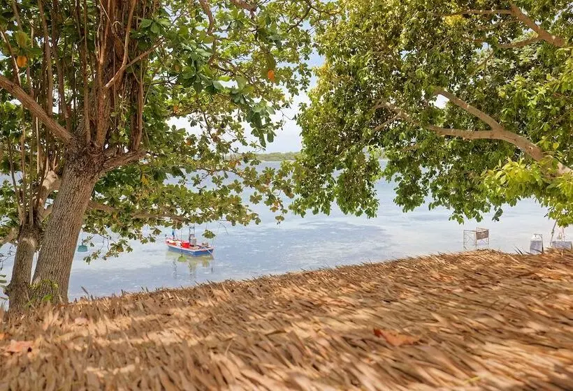 Blue Turtle Hotel Samui