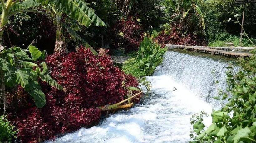 호스텔 Beret B & B