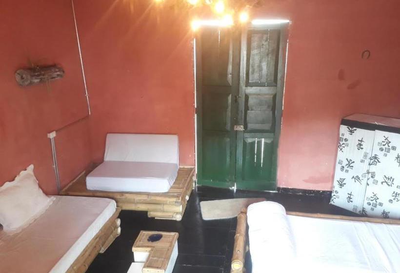 ユースホステル Terracotta