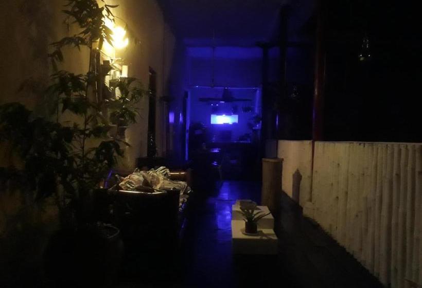 ユースホステル Terracotta